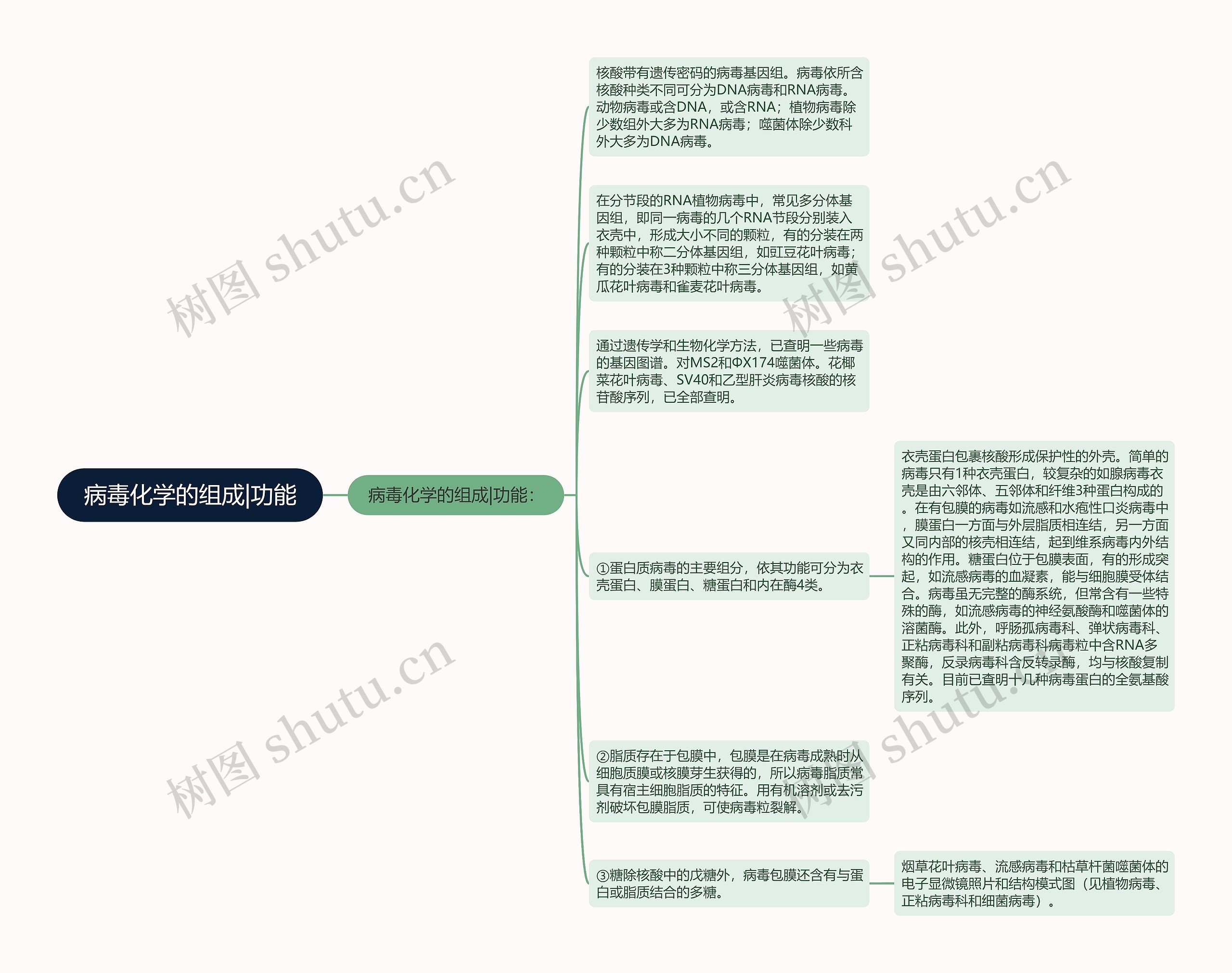 病毒化学的组成|功能