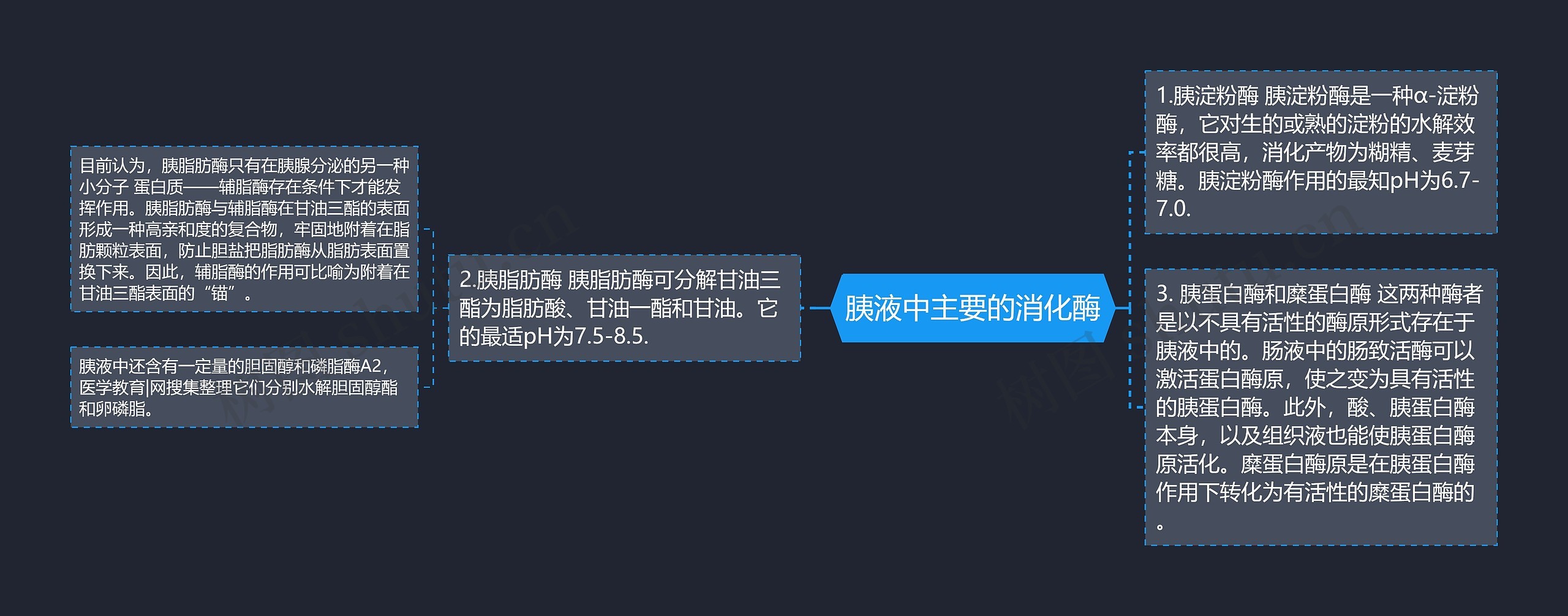 胰液中主要的消化酶 胰液中主要的消化酶