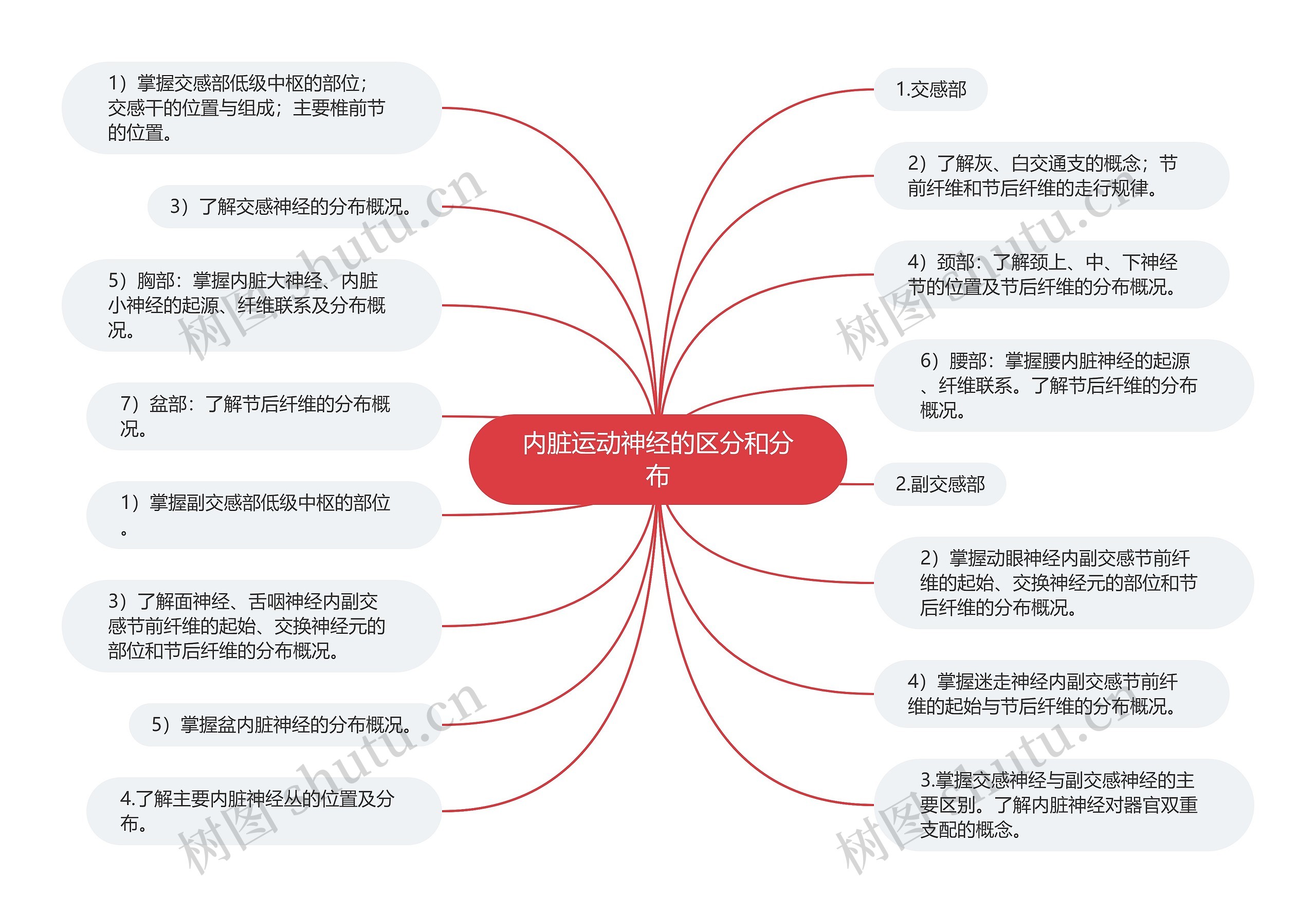 内脏运动神经的区分和分布