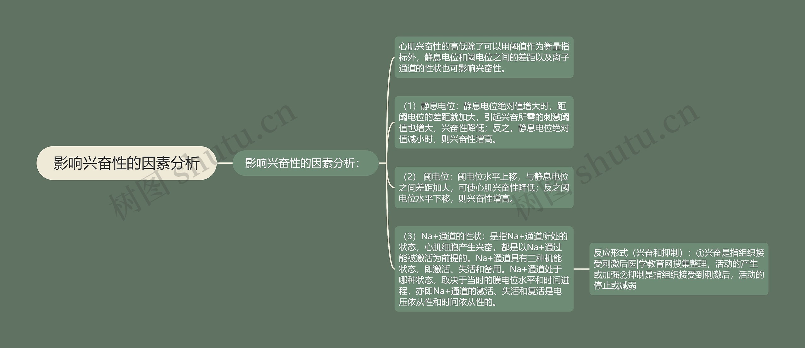 影响兴奋性的因素分析 影响兴奋性的因素分析