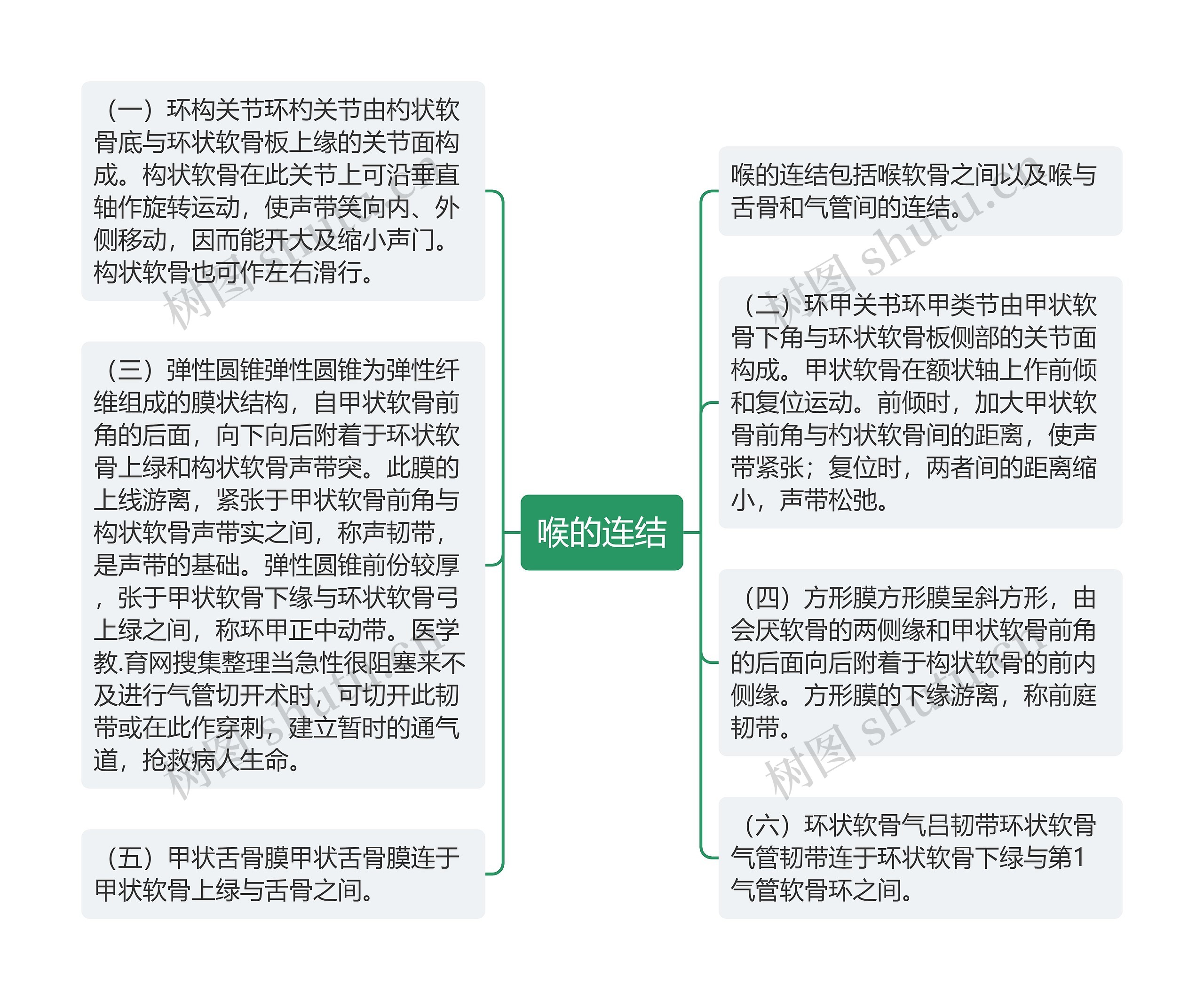 喉的连结