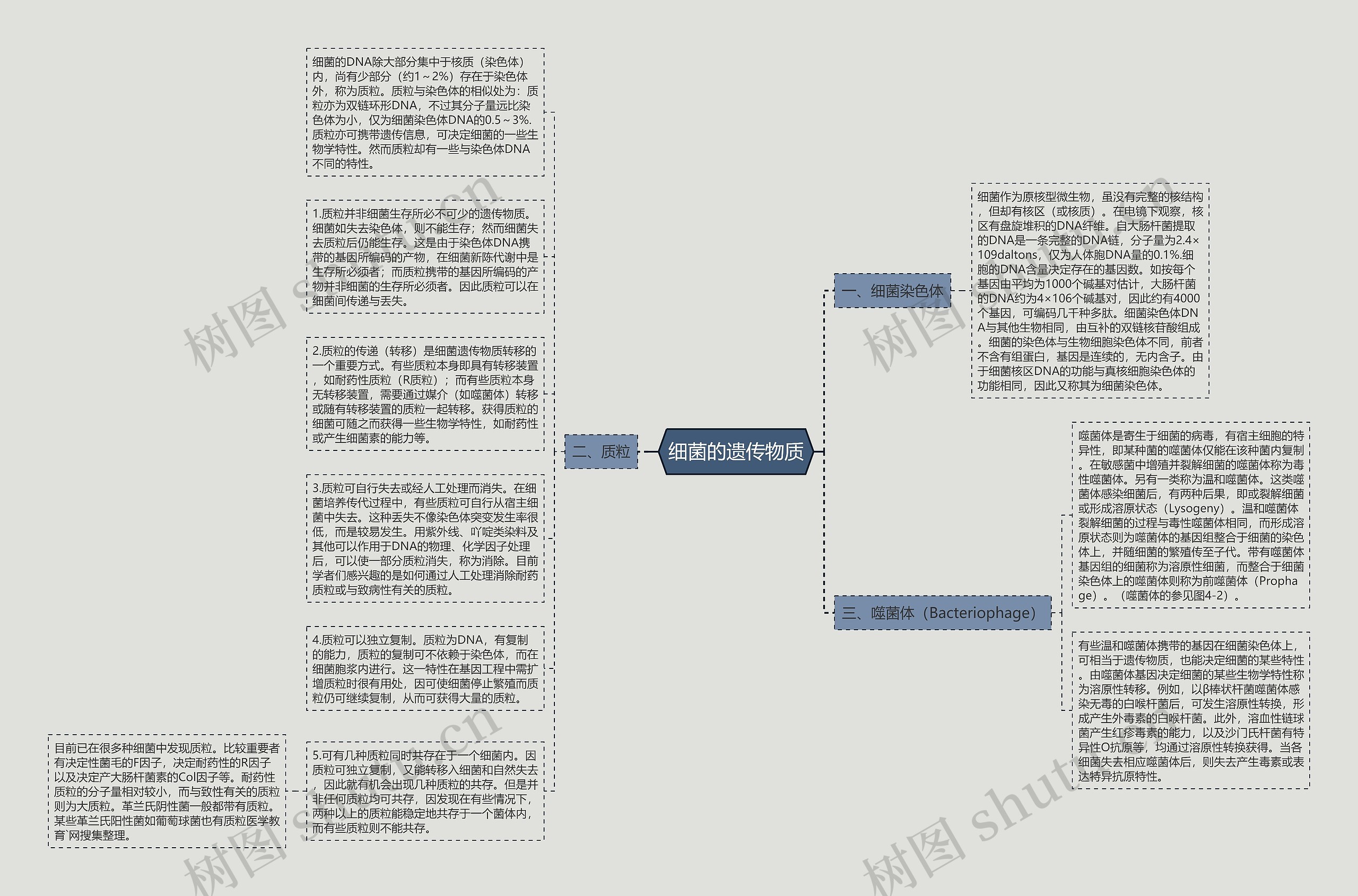 细菌的遗传物质思维导图
