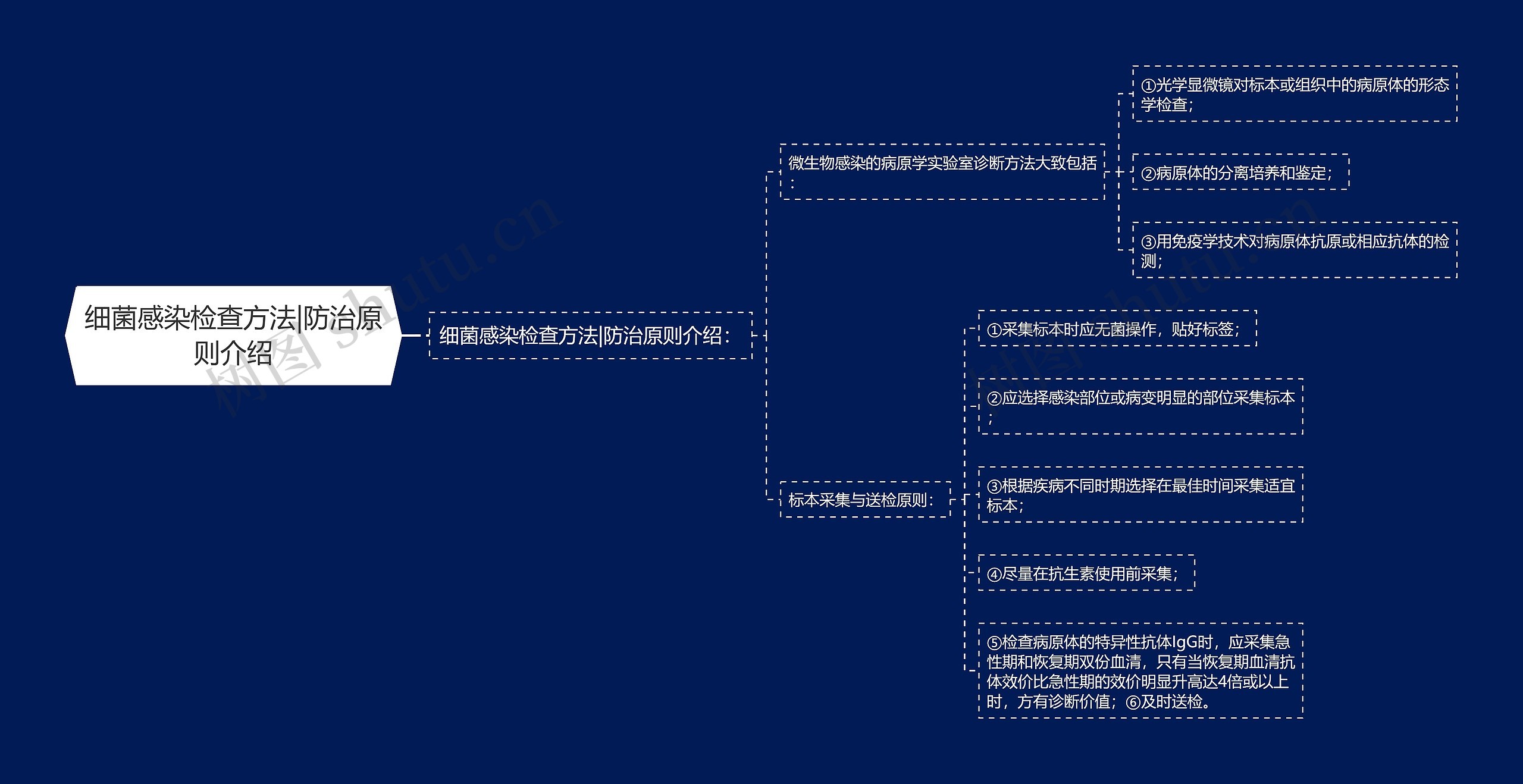 细菌感染检查方法|防治原则介绍思维导图