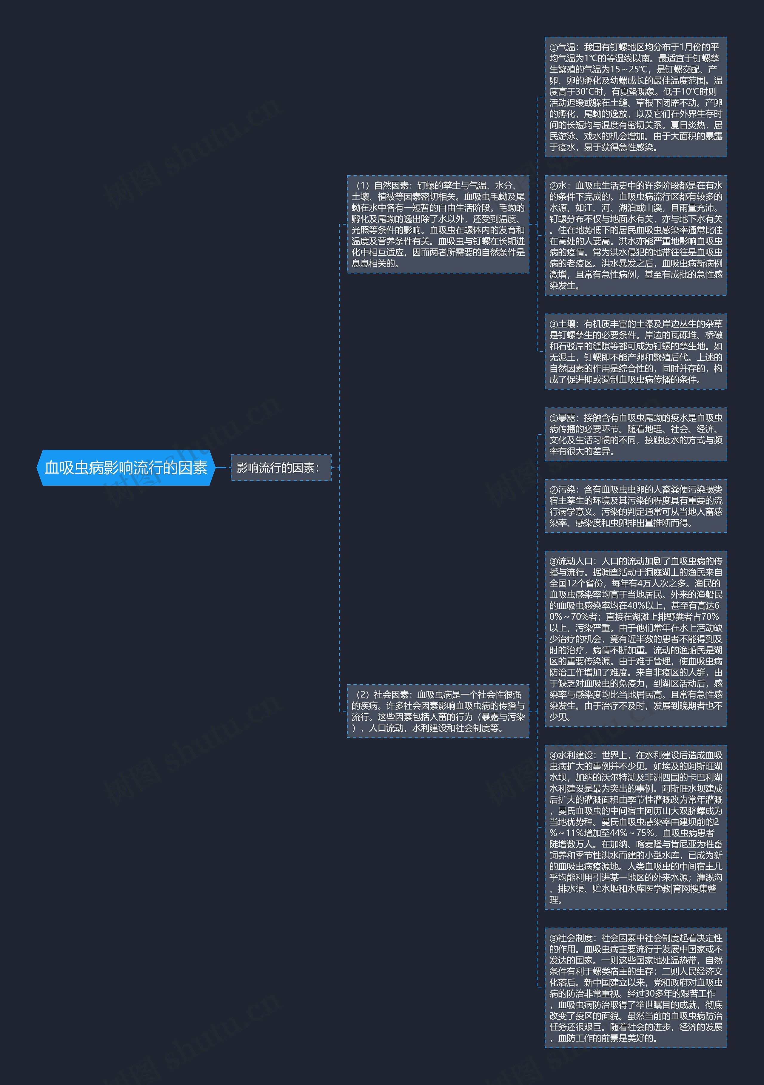 血吸虫病影响流行的因素思维导图