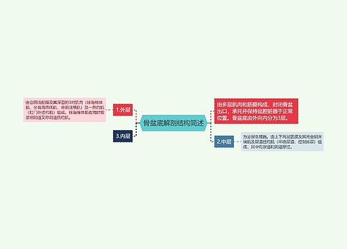 骨盆底解剖结构简述