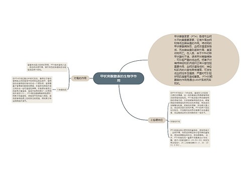 甲状旁腺激素的生物学作用