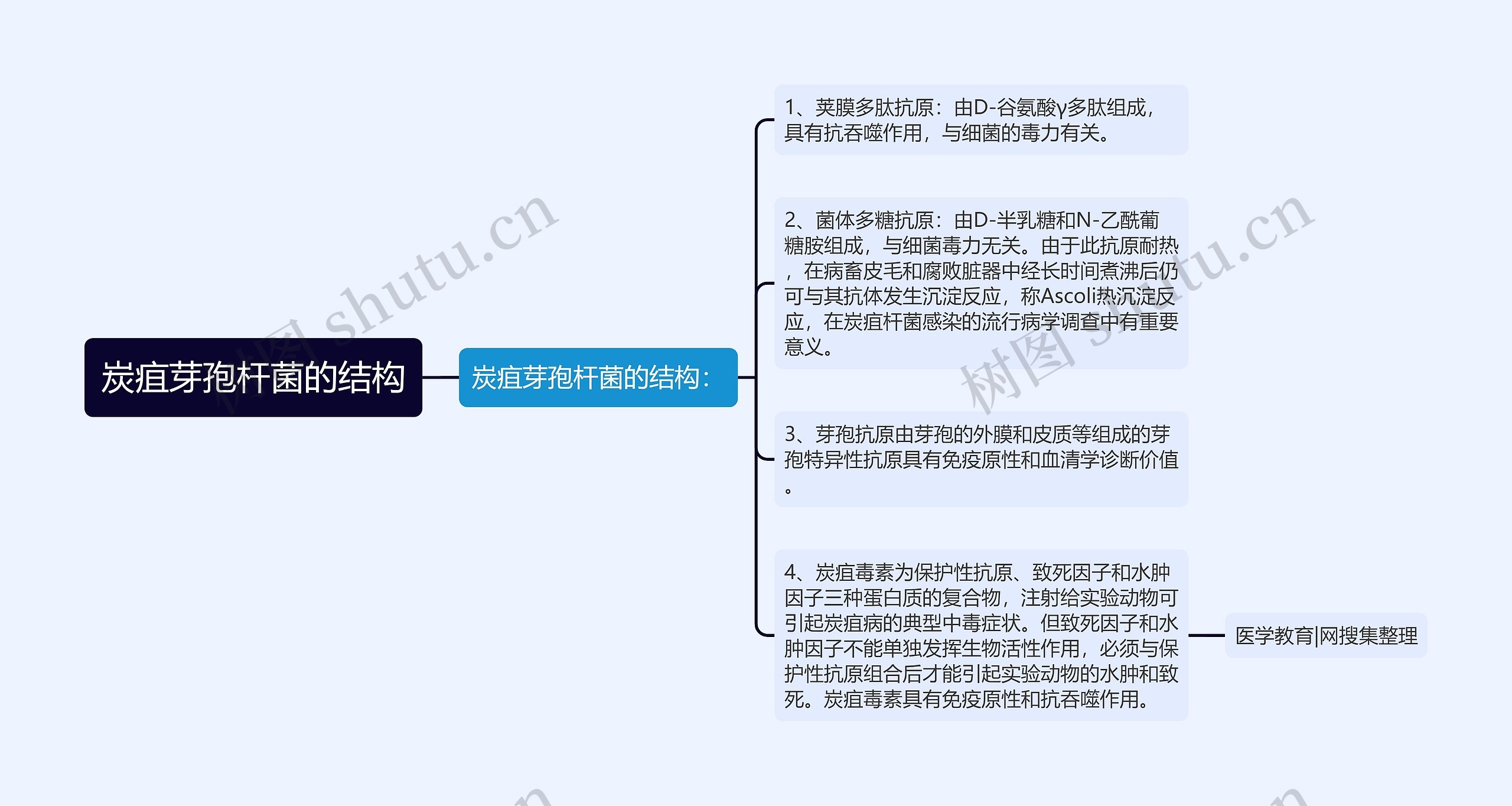 炭疽芽孢杆菌的结构 炭疽芽孢杆菌的结构
