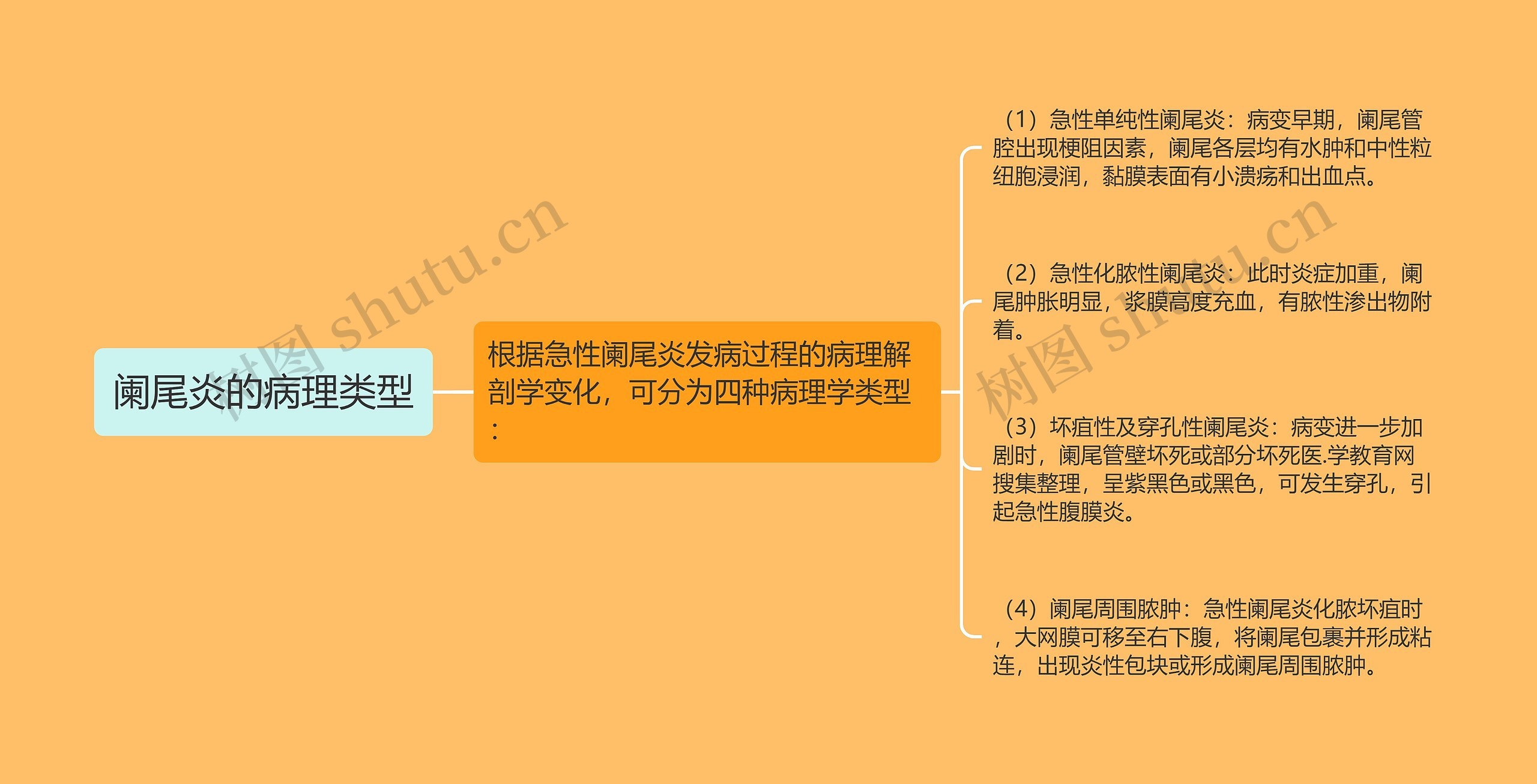 阑尾炎的病理类型