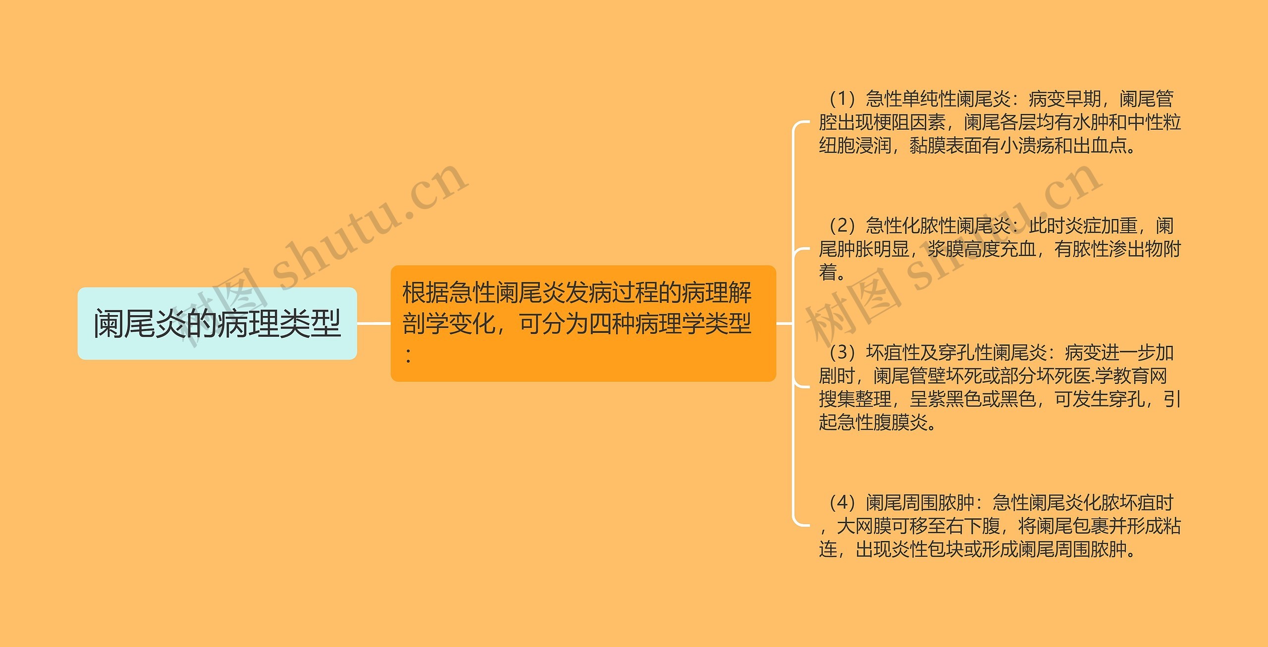 阑尾炎的病理类型思维导图