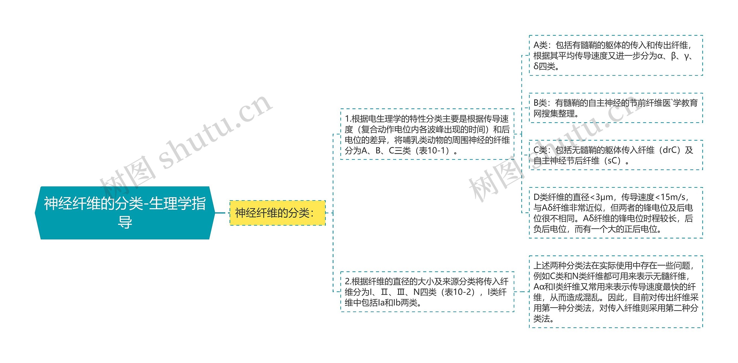 神经纤维的分类-生理学指导思维导图