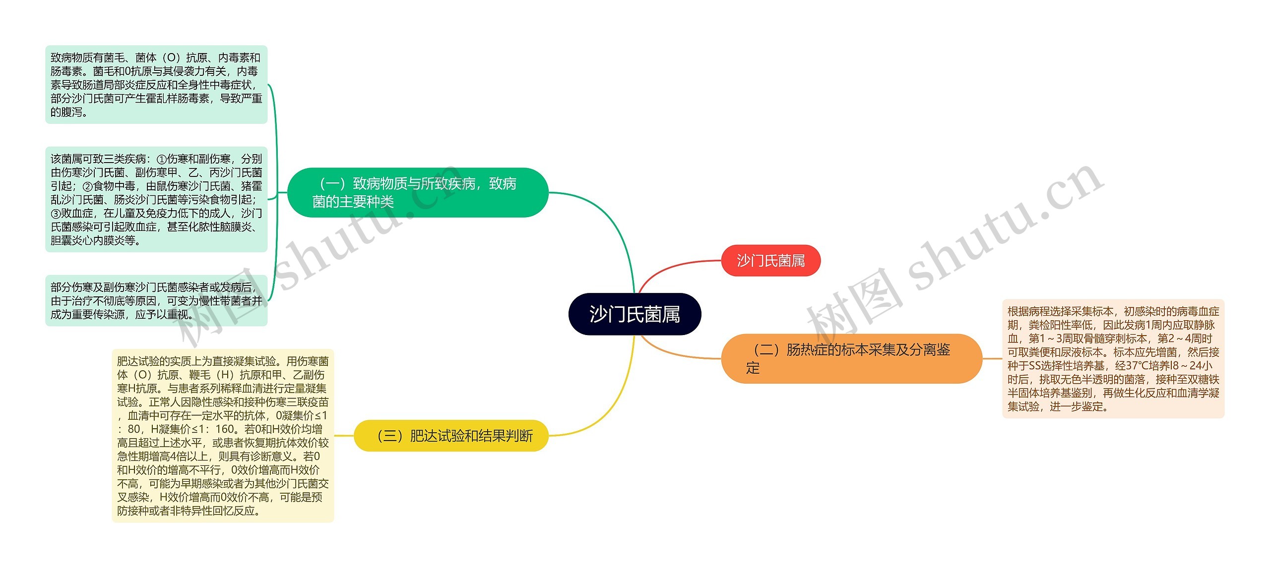 沙门氏菌属思维导图