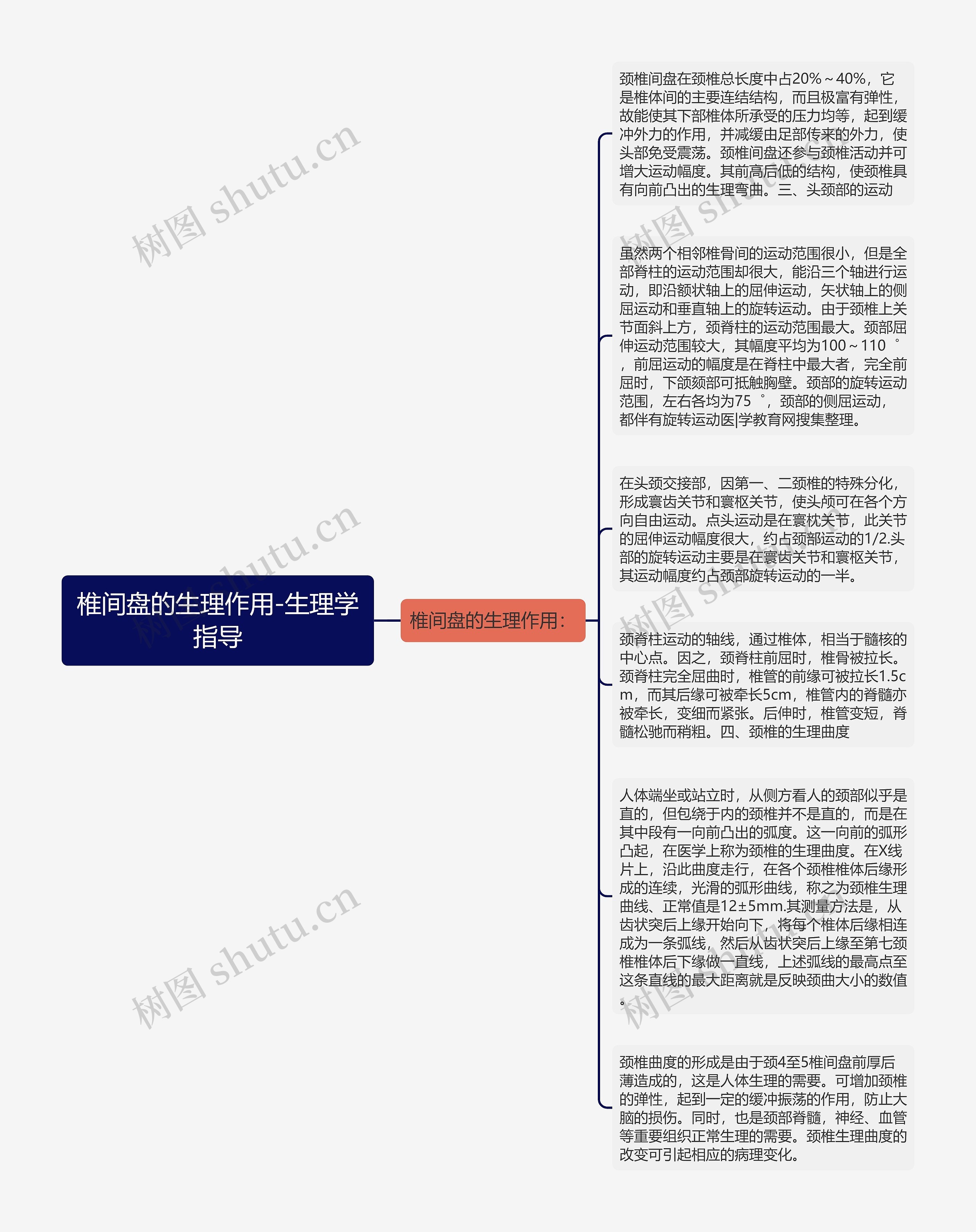 椎间盘的生理作用-生理学指导思维导图