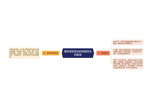 慢性肾盂肾炎的病理变化和联系