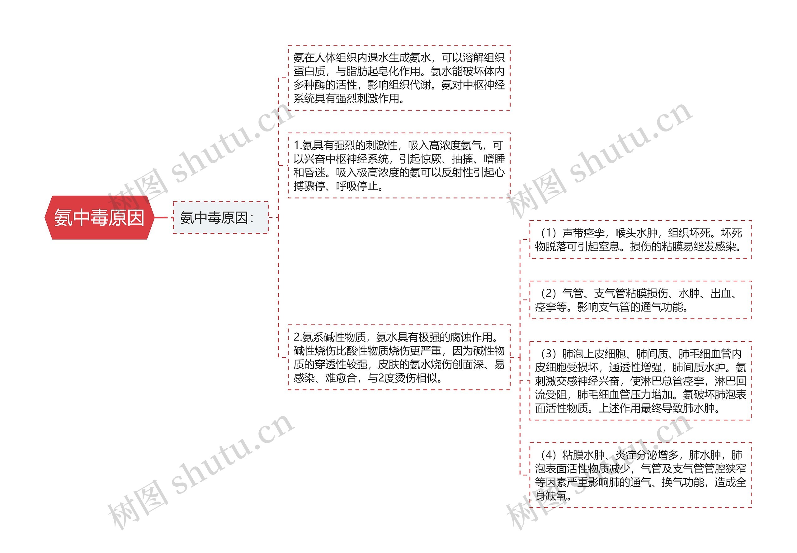 氨中毒原因思维导图