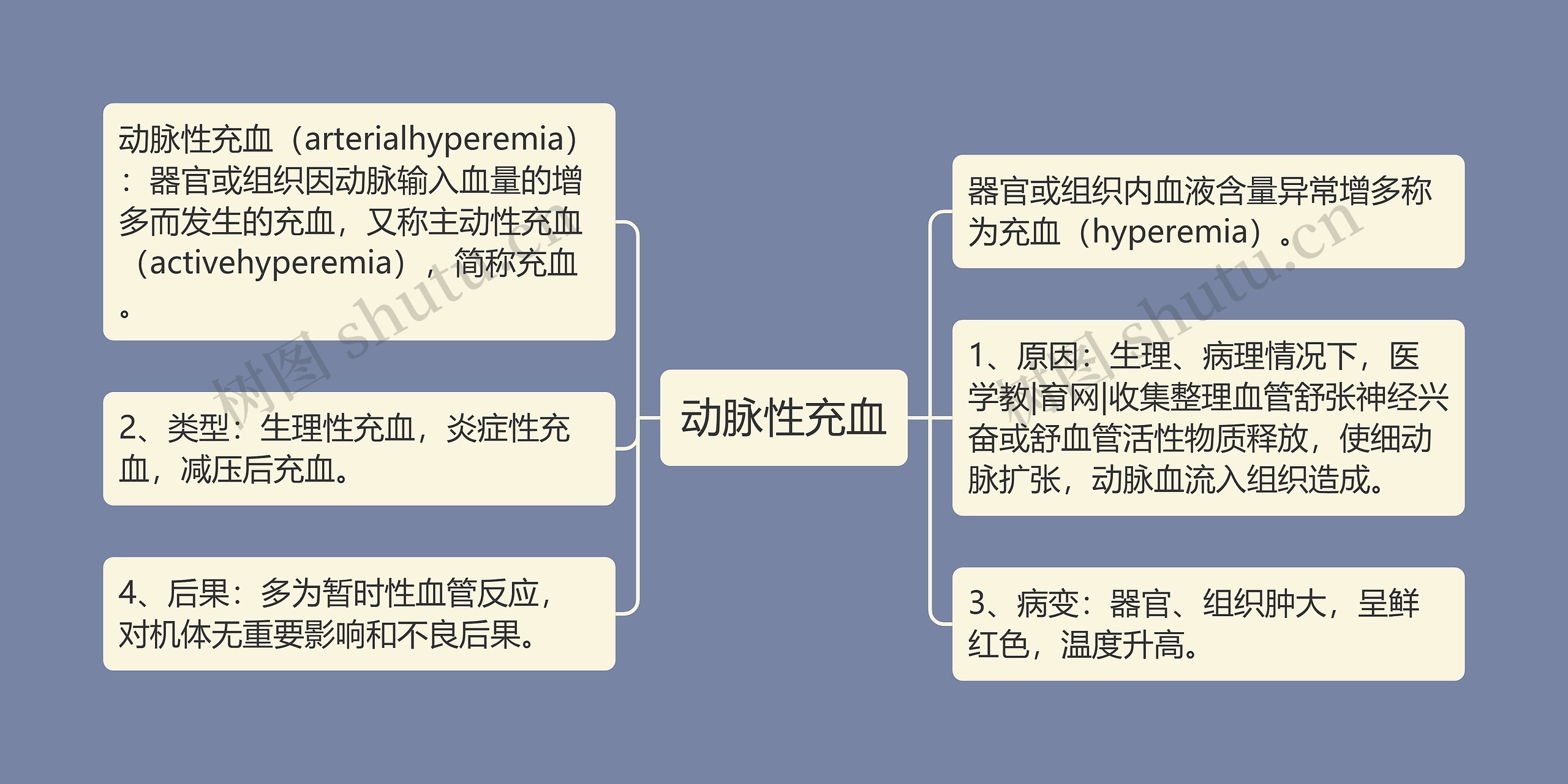 动脉性充血思维导图