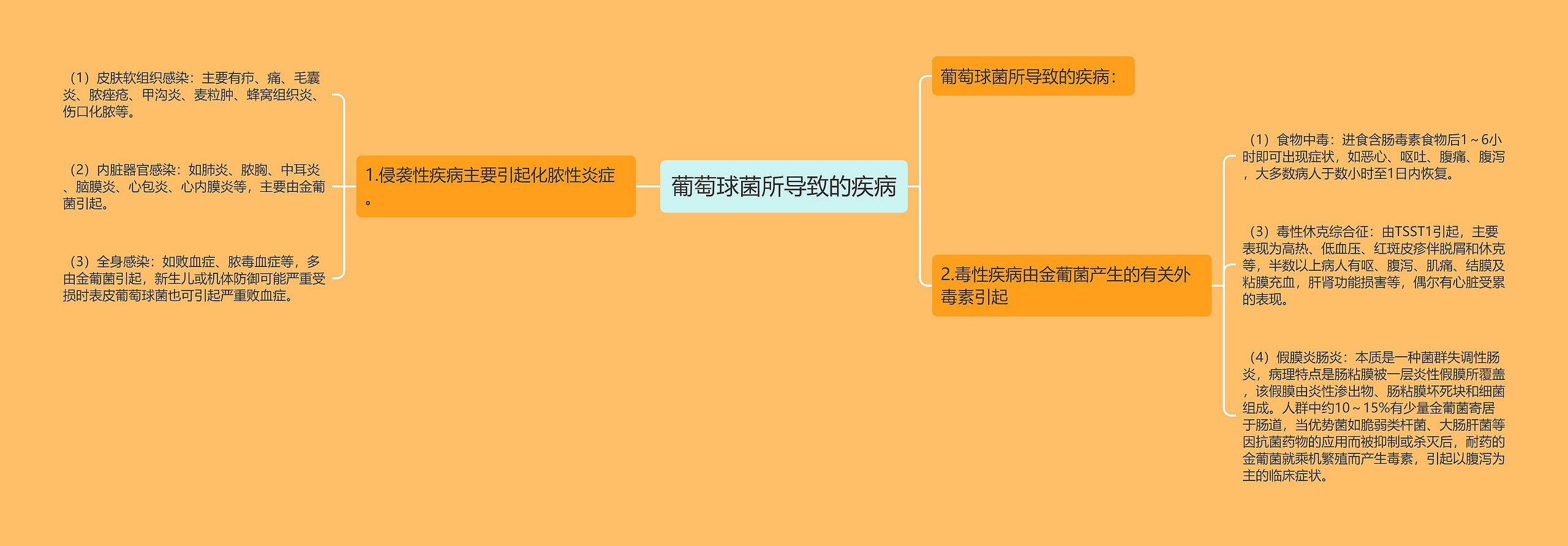 葡萄球菌所导致的疾病 葡萄球菌所导致的疾病
