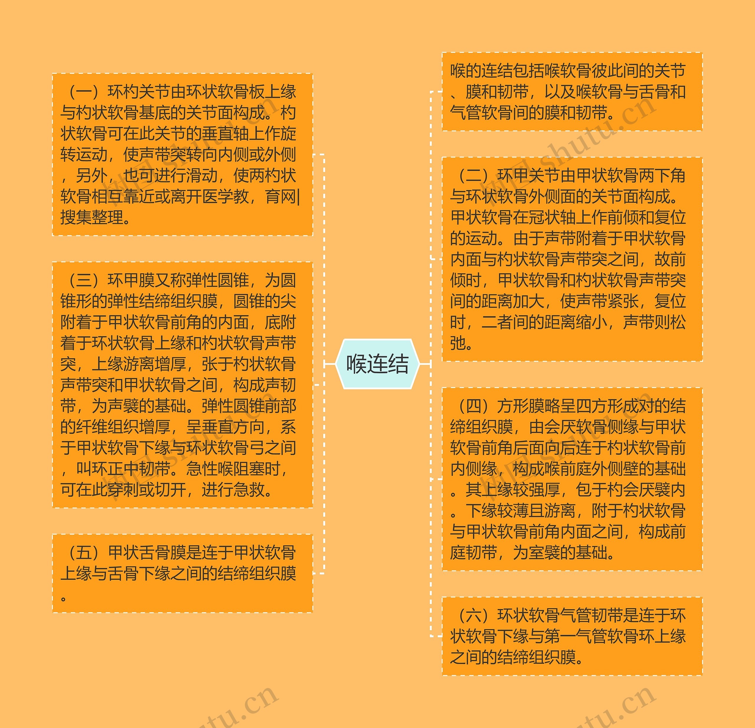 喉连结思维导图