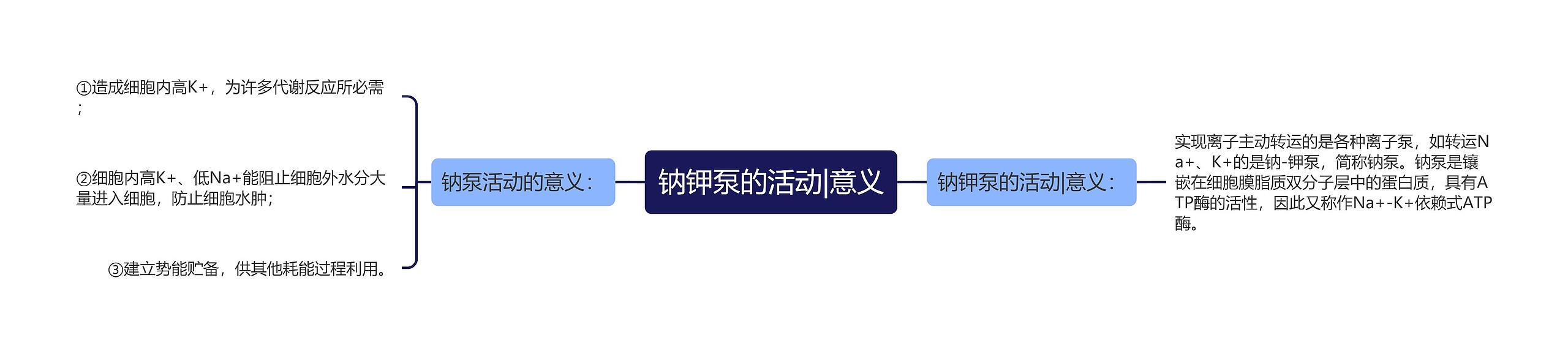 钠钾泵的活动|意义思维导图