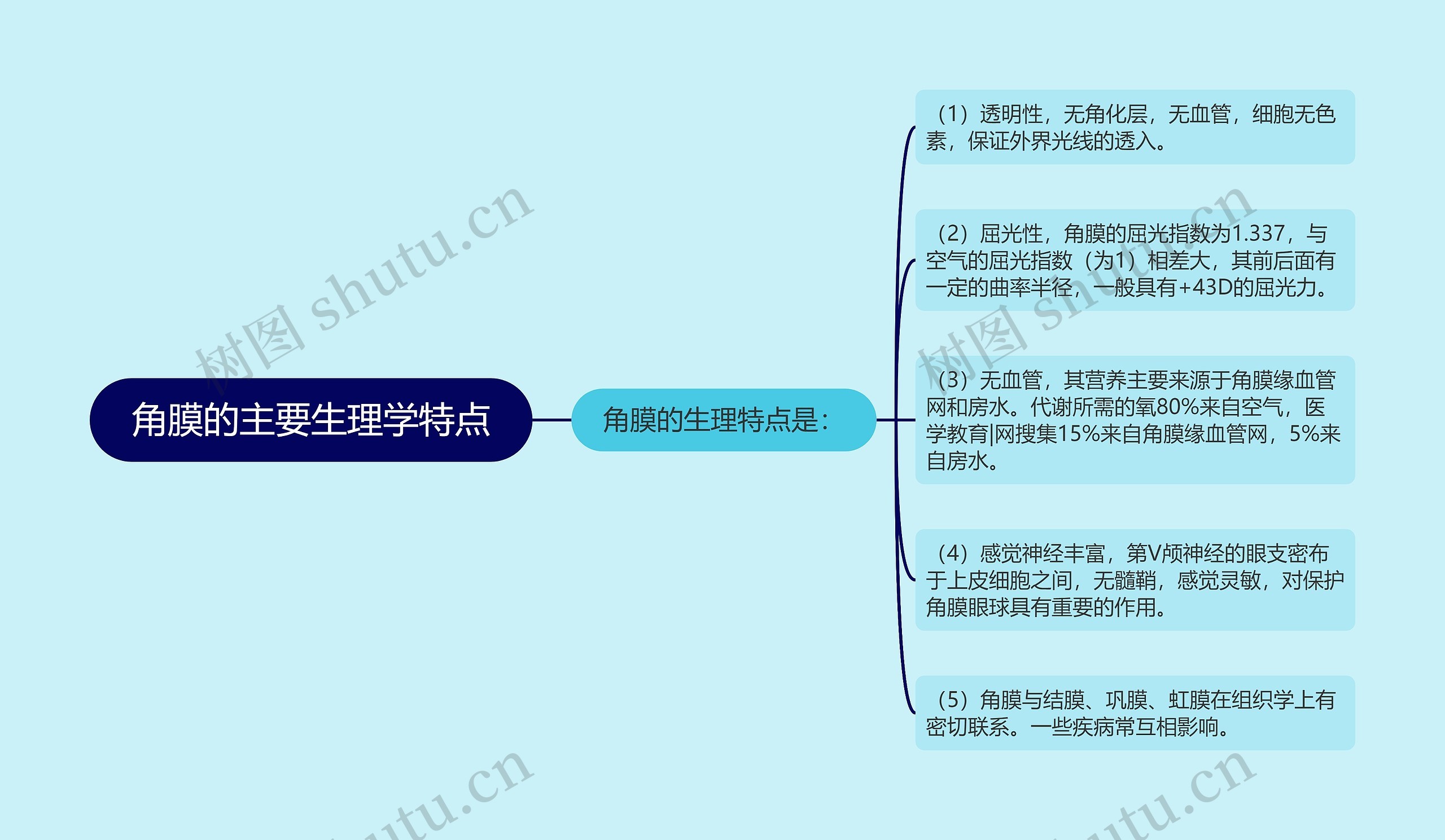 角膜的主要生理学特点 角膜的主要生理学特点