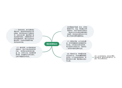 骨的表面标志