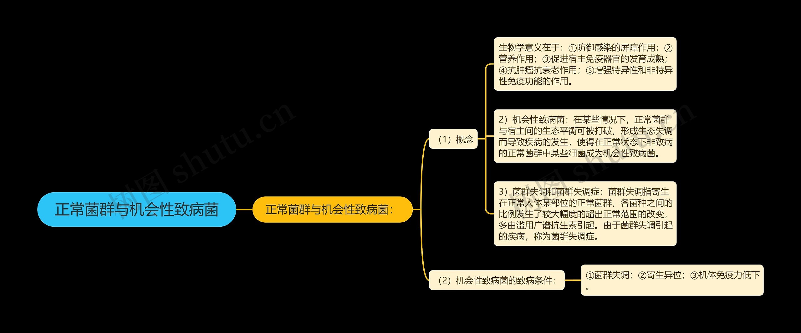 正常菌群与机会性致病菌思维导图