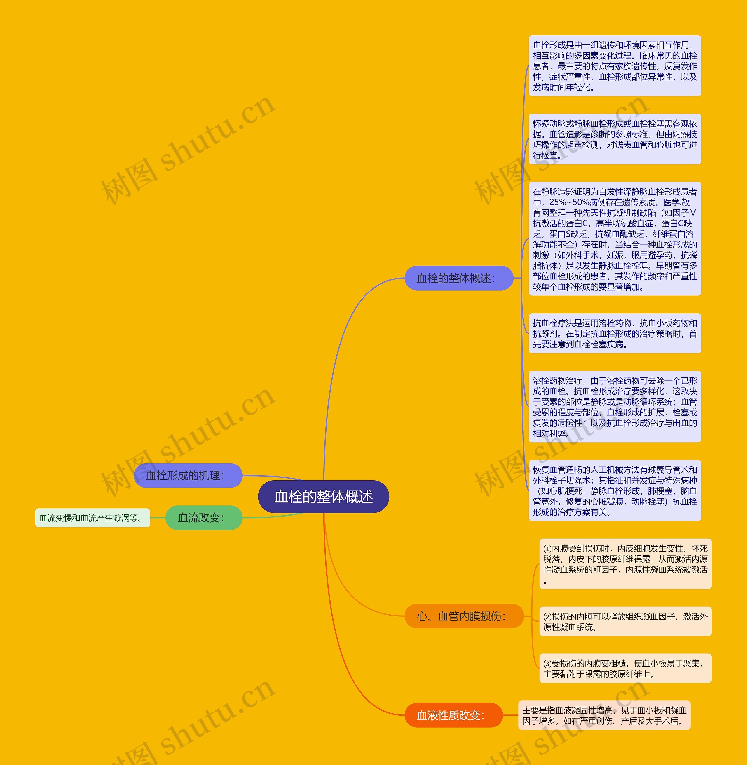 血栓的整体概述思维导图