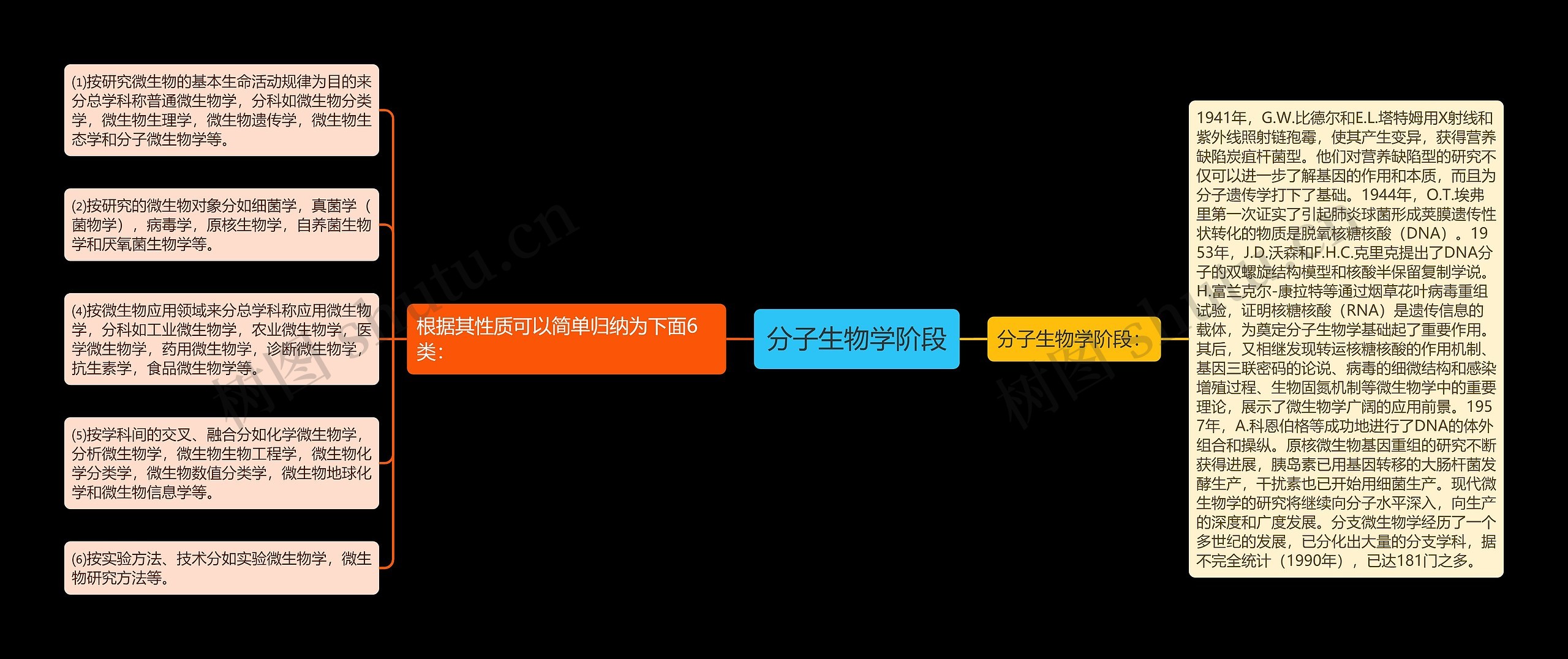 分子生物学阶段思维导图