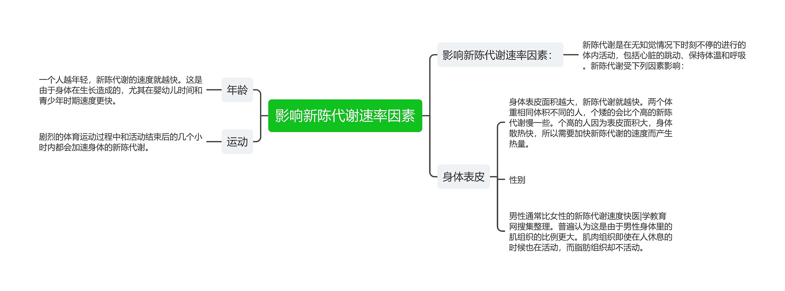 影响新陈代谢速率因素思维导图