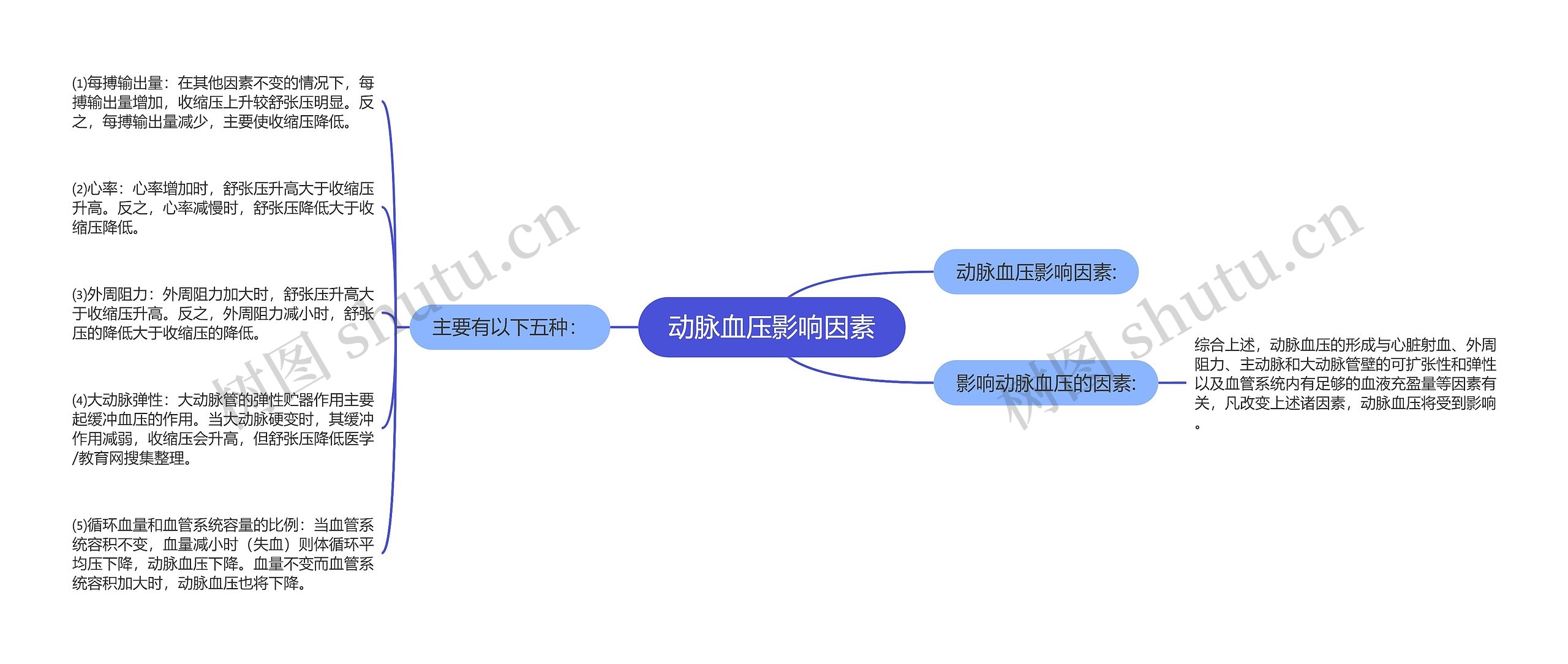 动脉血压影响因素