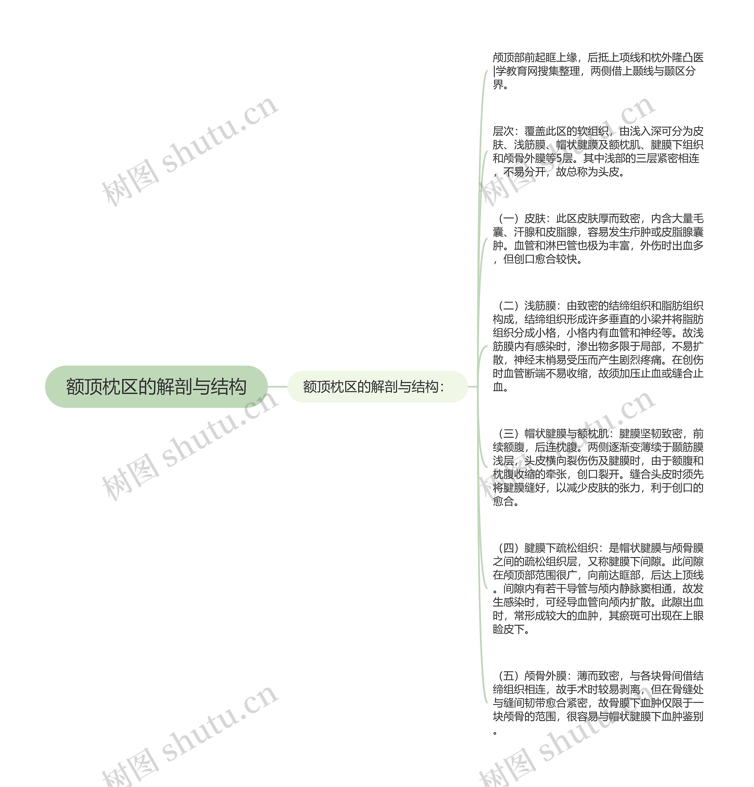 额顶枕区的解剖与结构思维导图高清图 额顶枕区的解剖与结构思维导图
