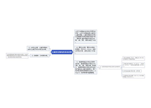 心脏的生物电的活动过程