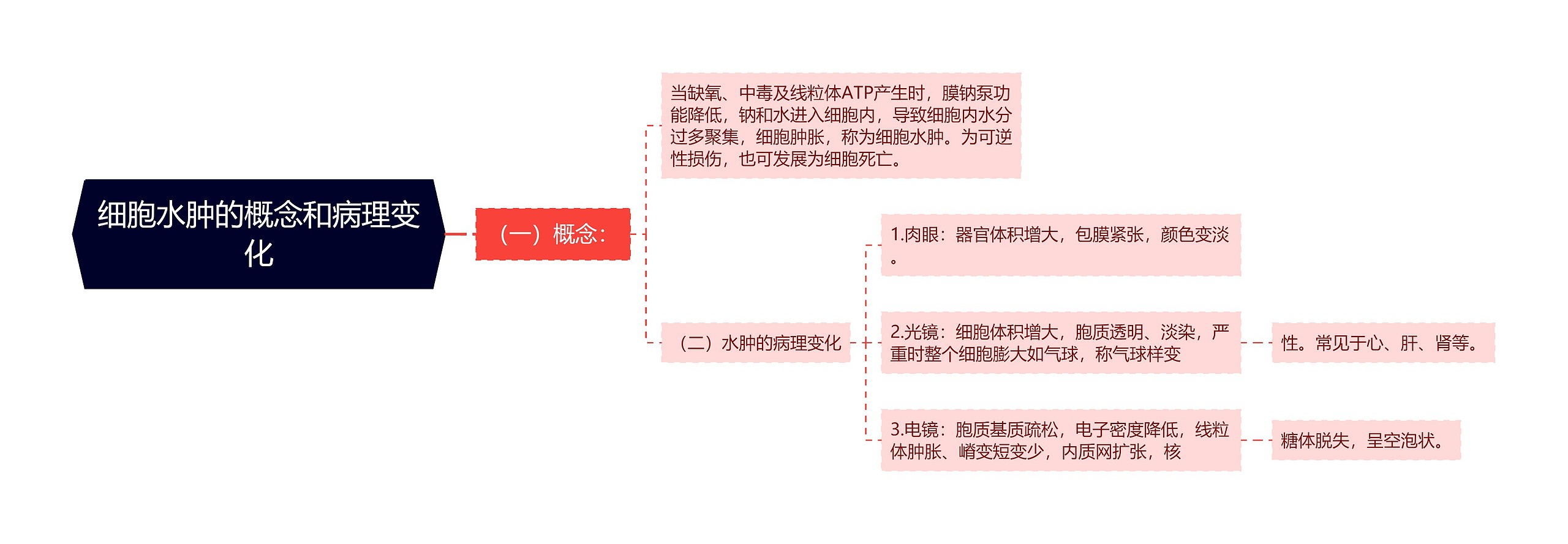 细胞水肿的概念和病理变化思维导图