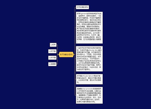 关节辅助结构