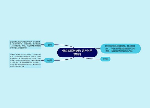 骨盆底解剖结构-妇产科手术辅导