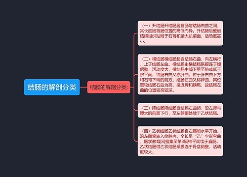 结肠的解剖分类