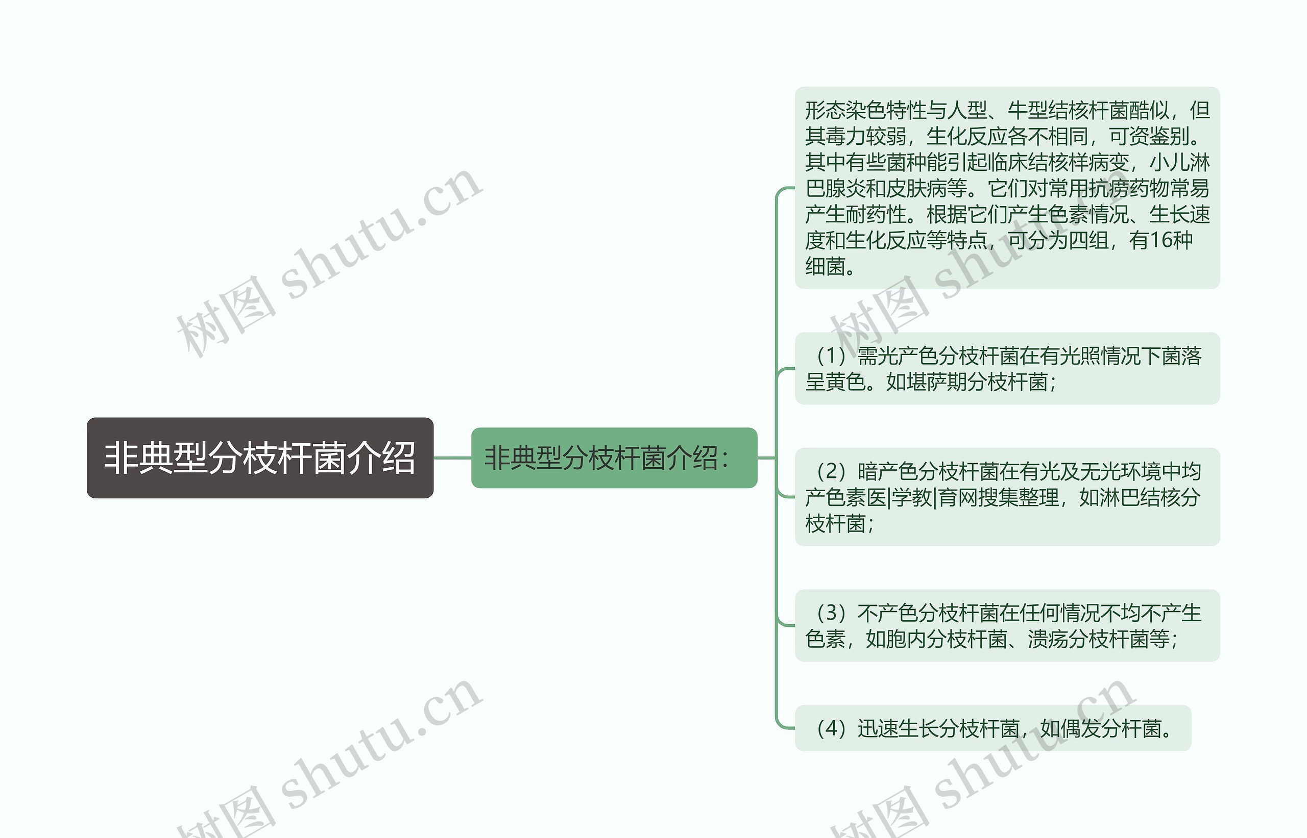 非典型分枝杆菌介绍思维导图