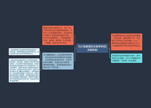 马尔堡病毒的生物学特性|发病机制