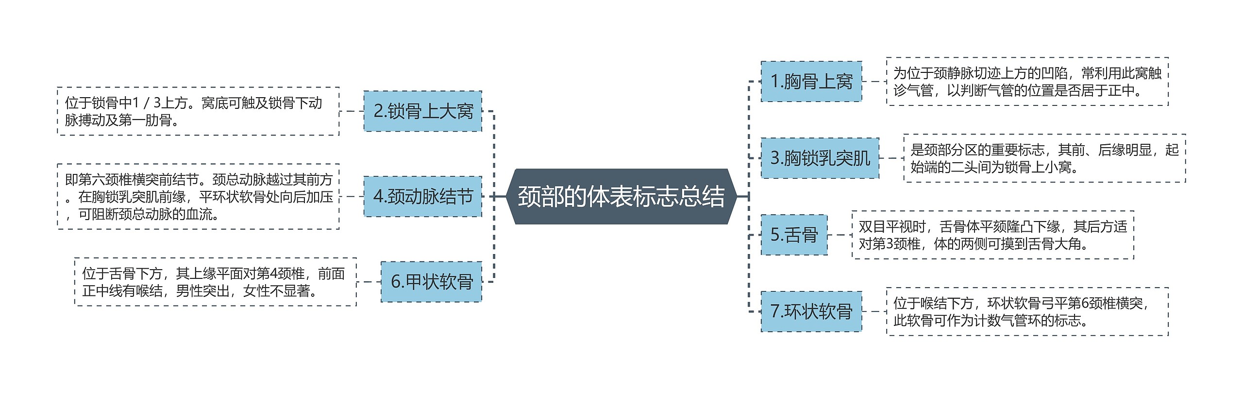 颈部的体表标志总结