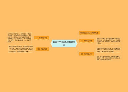 骨表面的形态标志具体简述