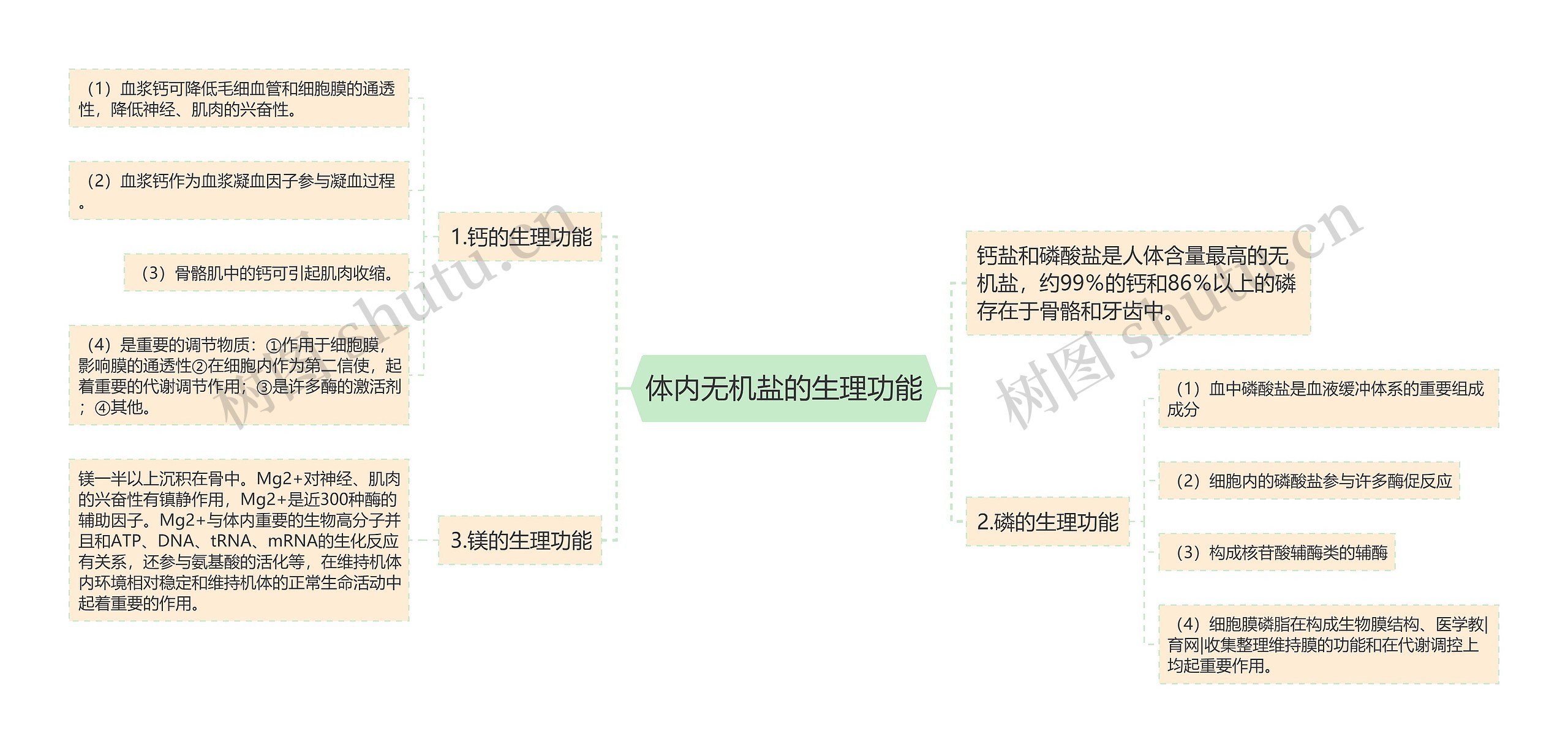 体内无机盐的生理功能思维导图