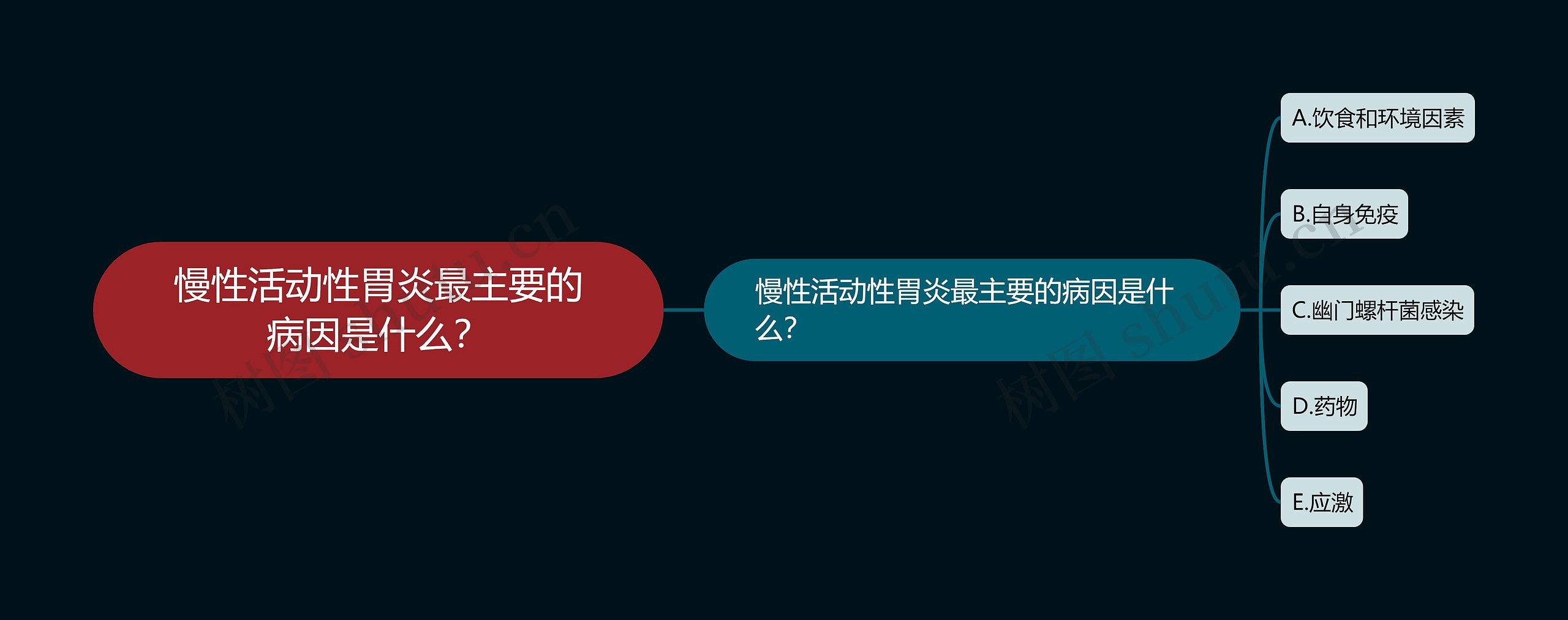 慢性活动性胃炎最主要的病因是什么？