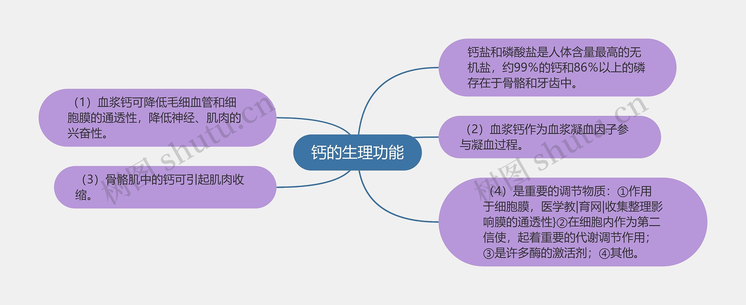 钙的生理功能 钙的生理功能
