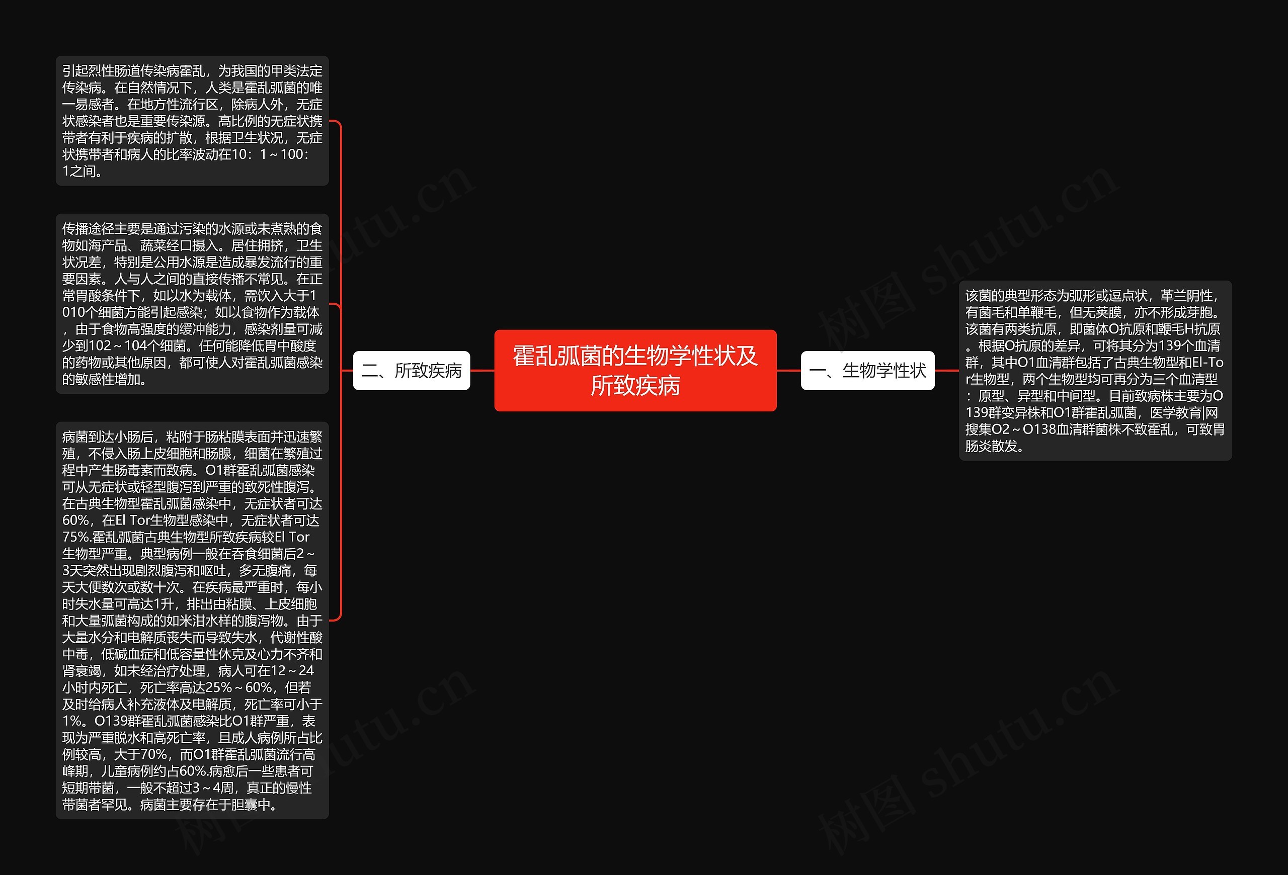 霍乱弧菌的生物学性状及所致疾病