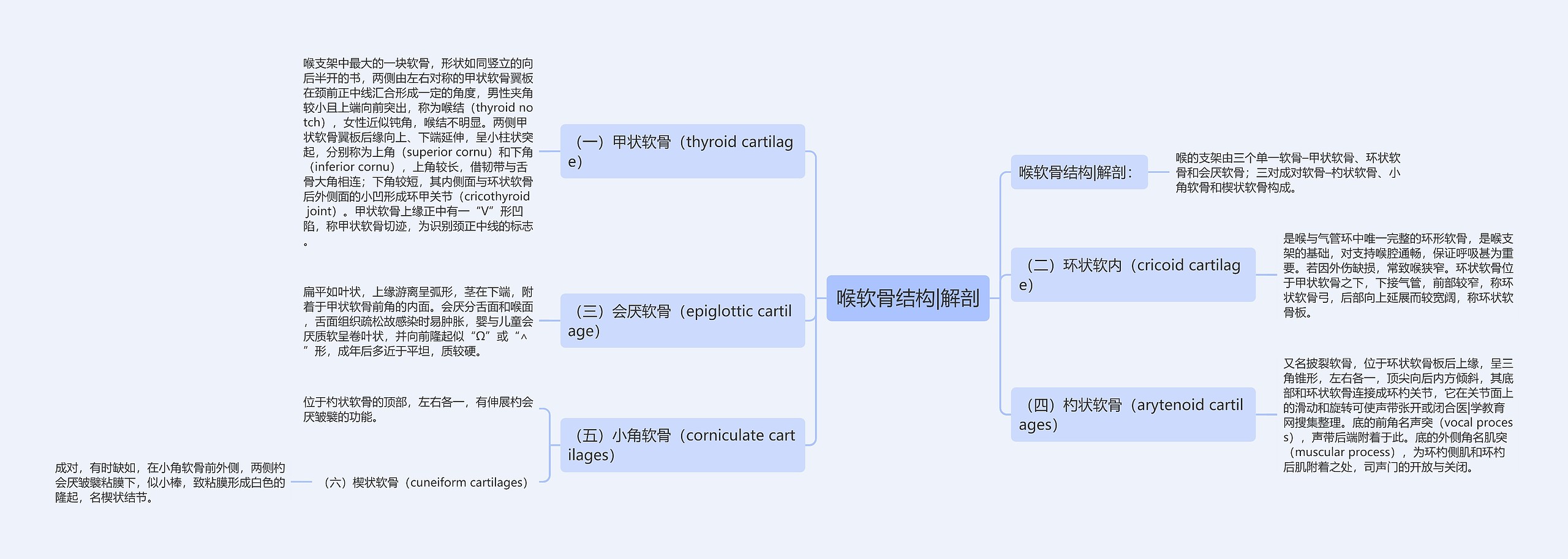 喉软骨结构|解剖