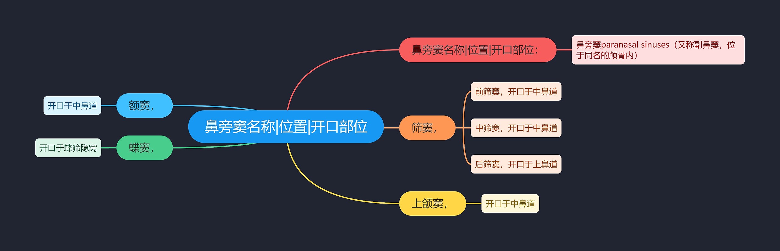 鼻旁窦名称|位置|开口部位思维导图