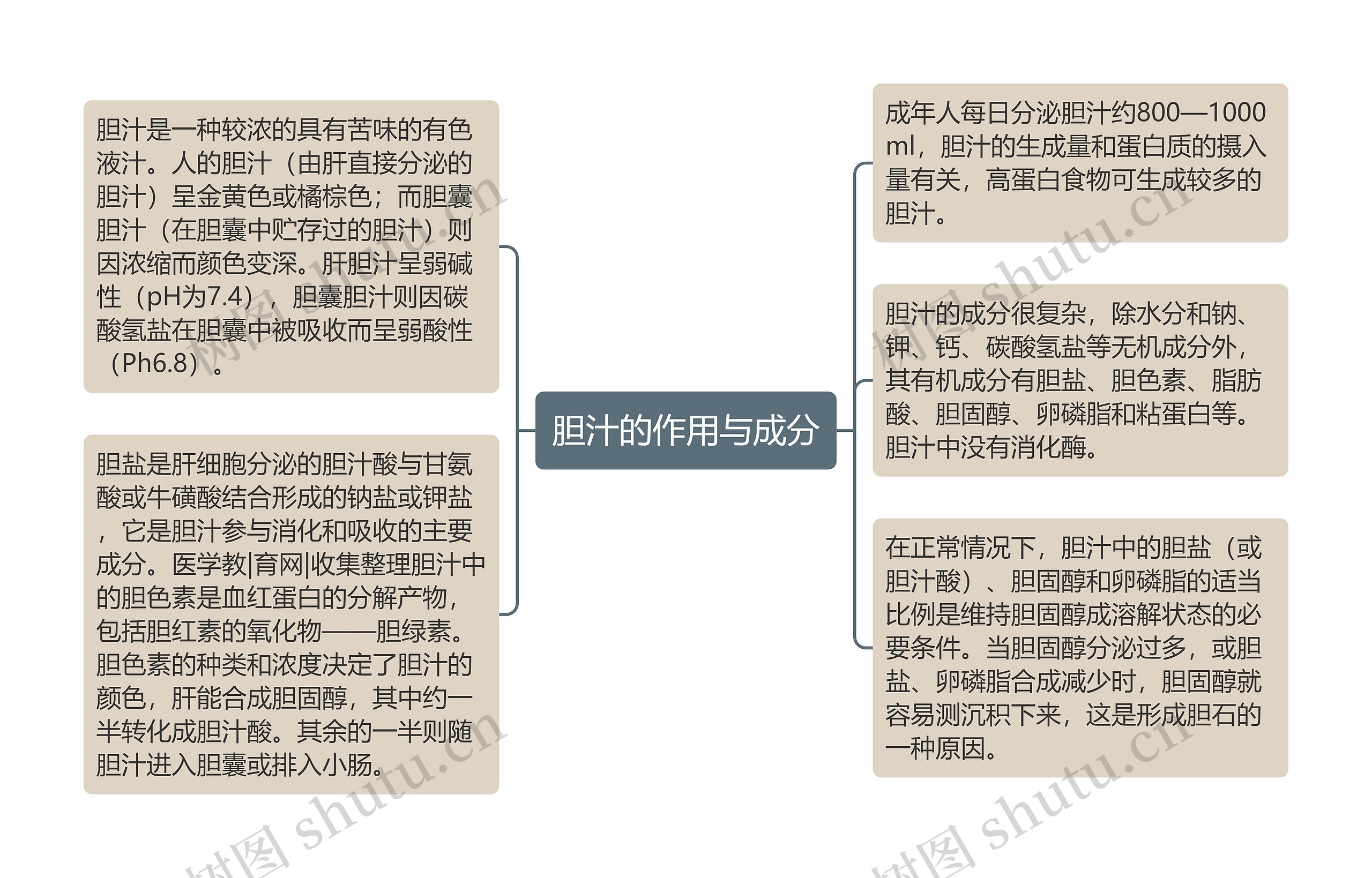 胆汁的作用与成分思维导图