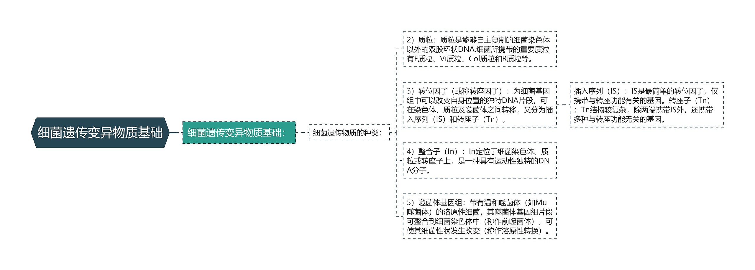 细菌遗传变异物质基础思维导图