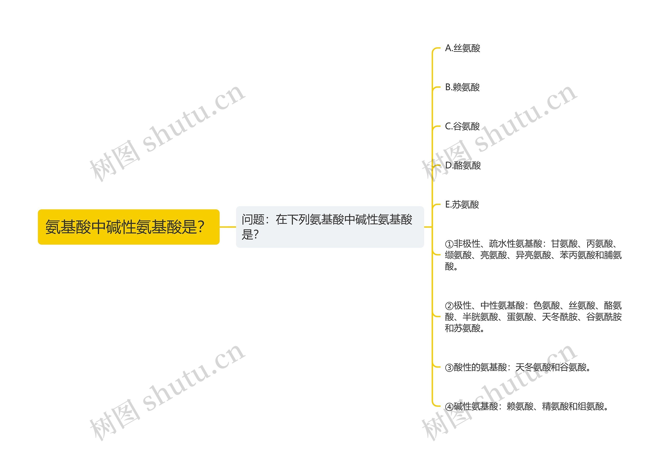 氨基酸中碱性氨基酸是？