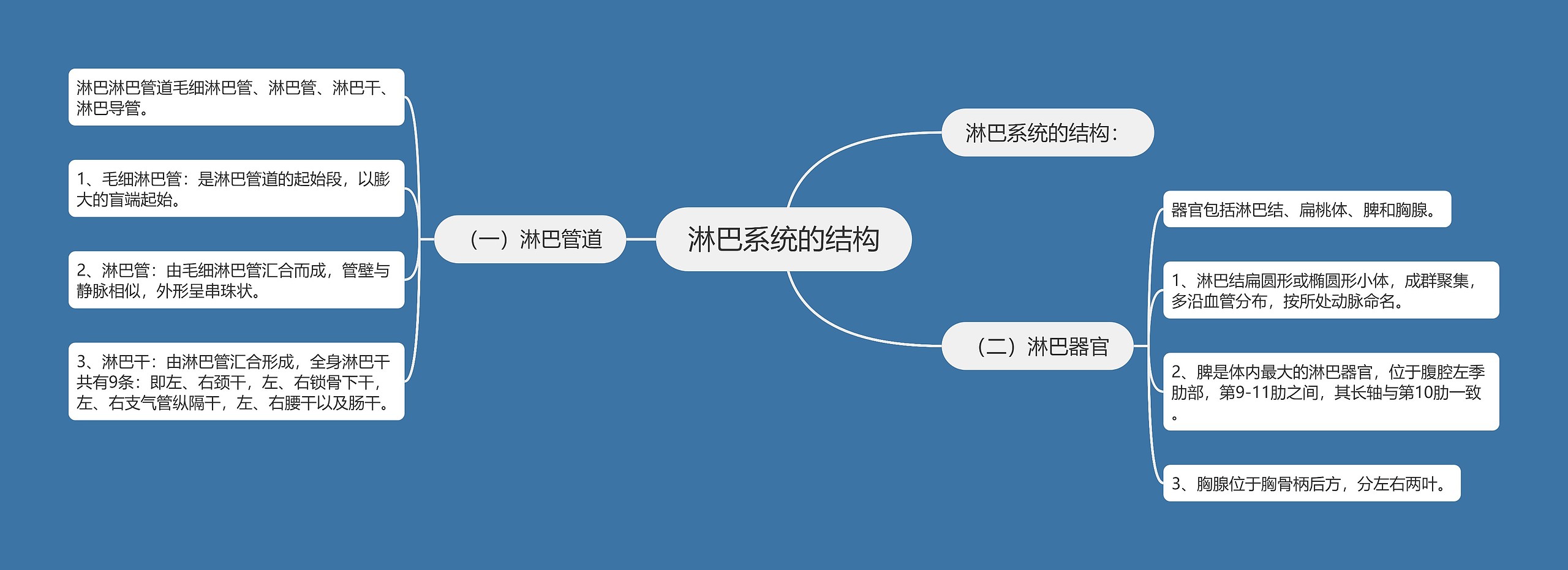 淋巴系统的结构