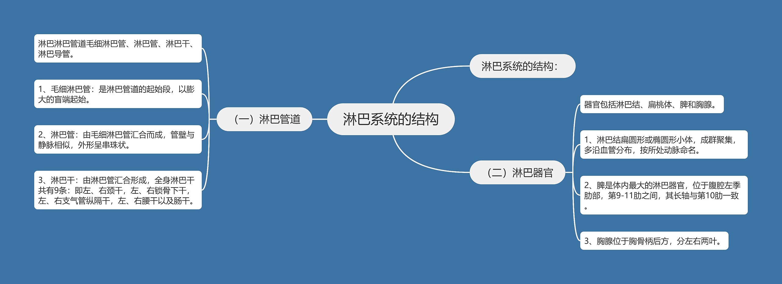 淋巴系统的结构思维导图